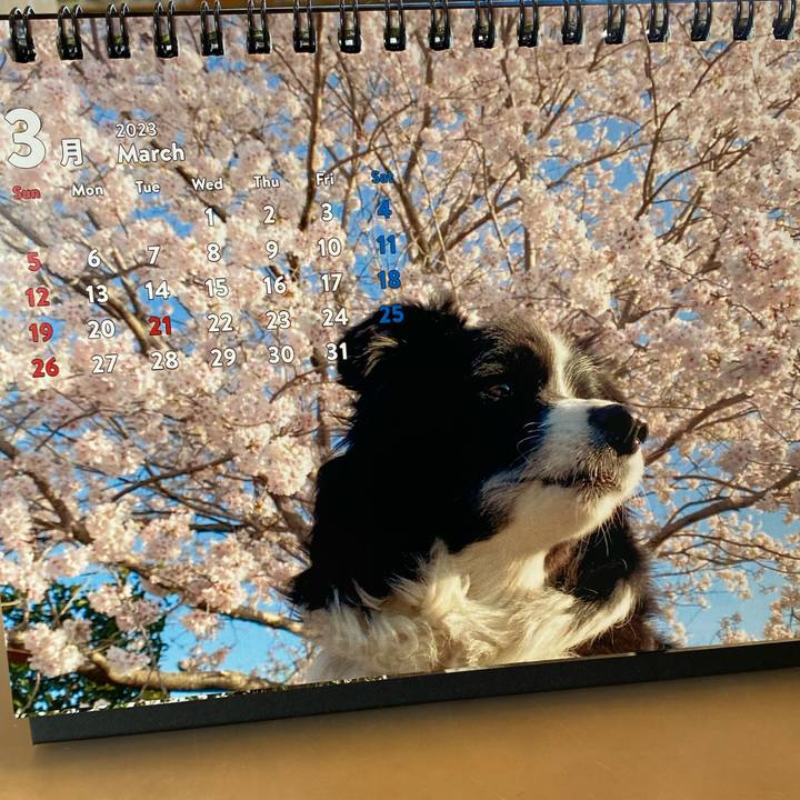 8c9c12f0 827d 452e b55b 74bd55bb2db7 1677621877744