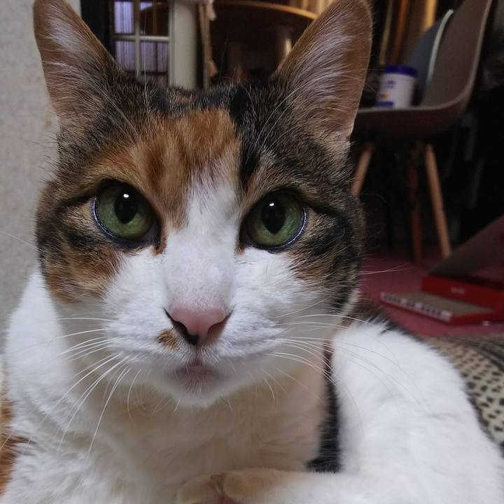 8c9c1f6a 5acf 4414 b347 c3a56e02080c 1555111892423