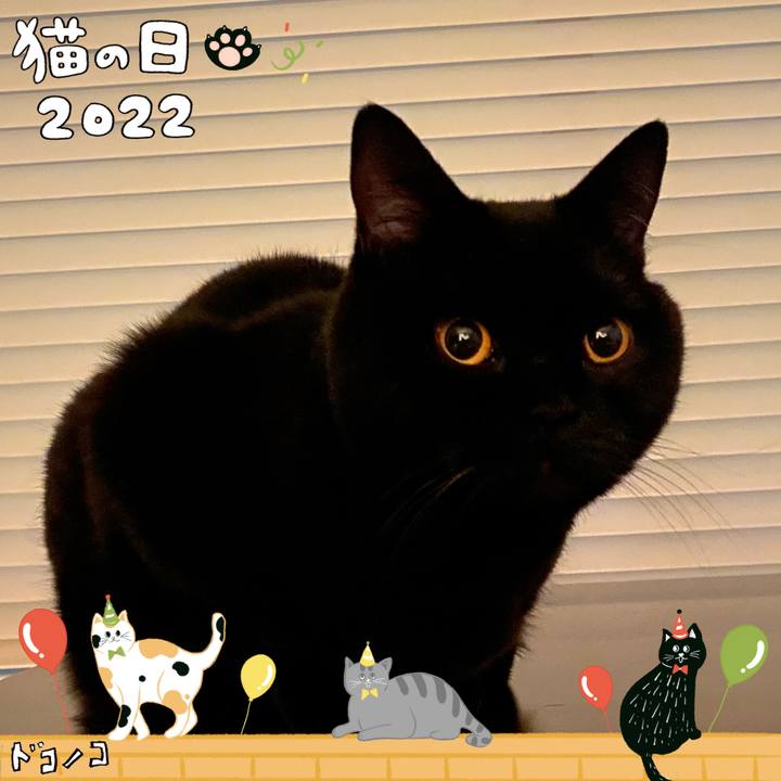 8c9c4b68 9652 4ceb 9b5f 6500054a9eb2 1645533666238