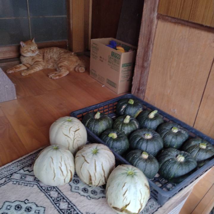 8c9c7657 2990 4023 8b2c 7e9d09dbe34d 1721296461275