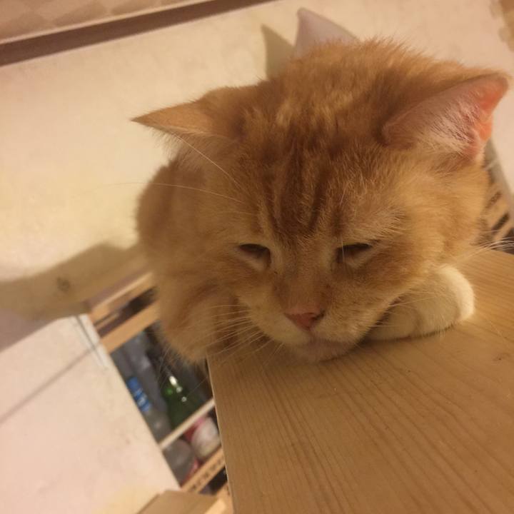 8c9c99ad d238 4f12 beff cdf423b6a4bf 1569236437676