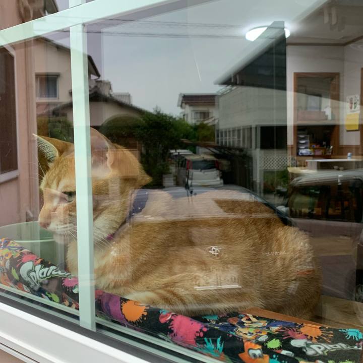 8c9c9df3 d7c6 446f b93e ae7c048a71a7 1592391645080