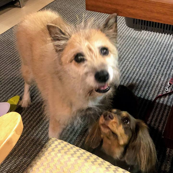 8c9cc9e3 a5cc 4b06 ae11 03514281f7a7 1573049134113