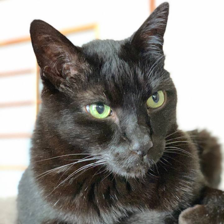 8c9cd7f7 5d63 49ff a04e 566904c87d36 1588987246835