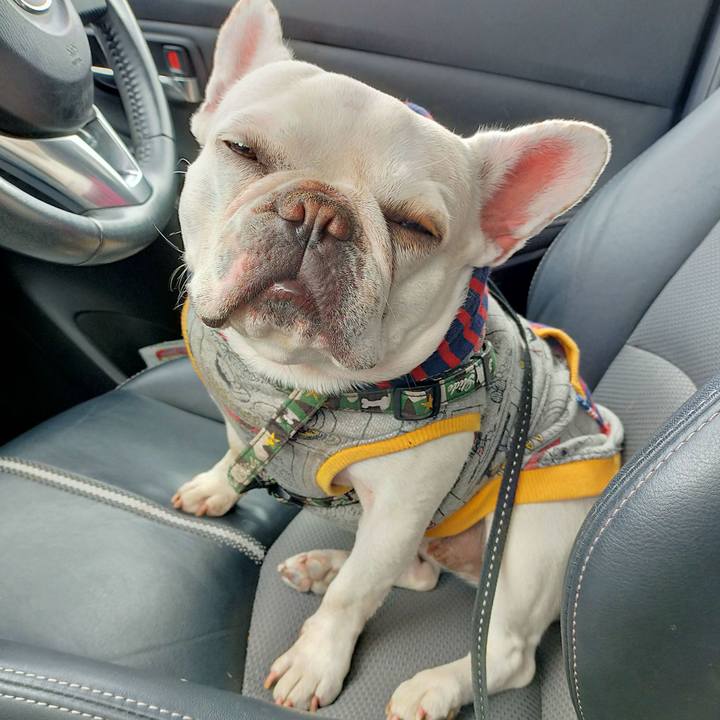 8c9cfdad 37e6 4566 b3e1 d61eaf0d8211 1670205545185