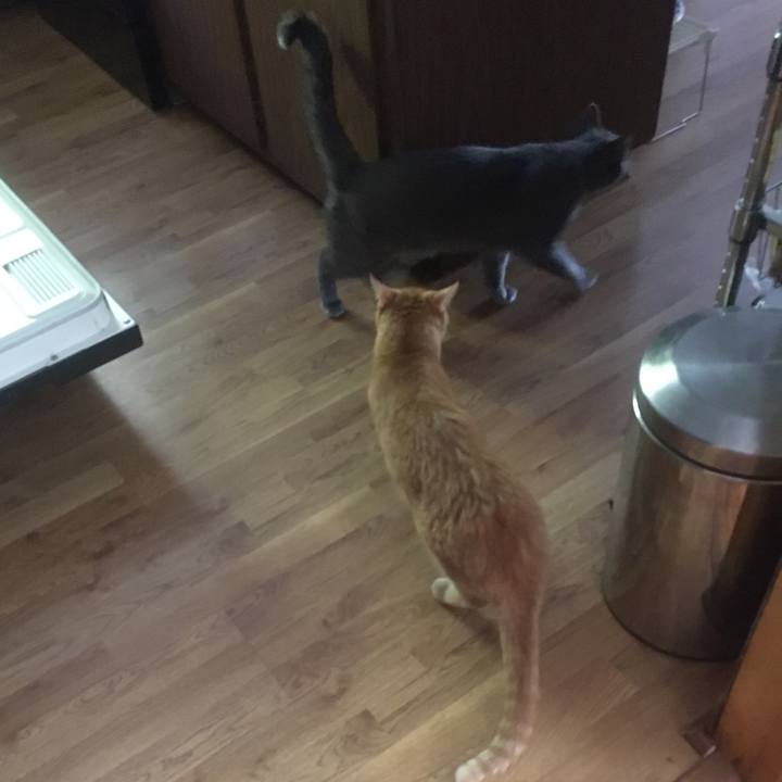 8c9d25cb 7148 46c7 9d45 066021819cc0 1632875945724