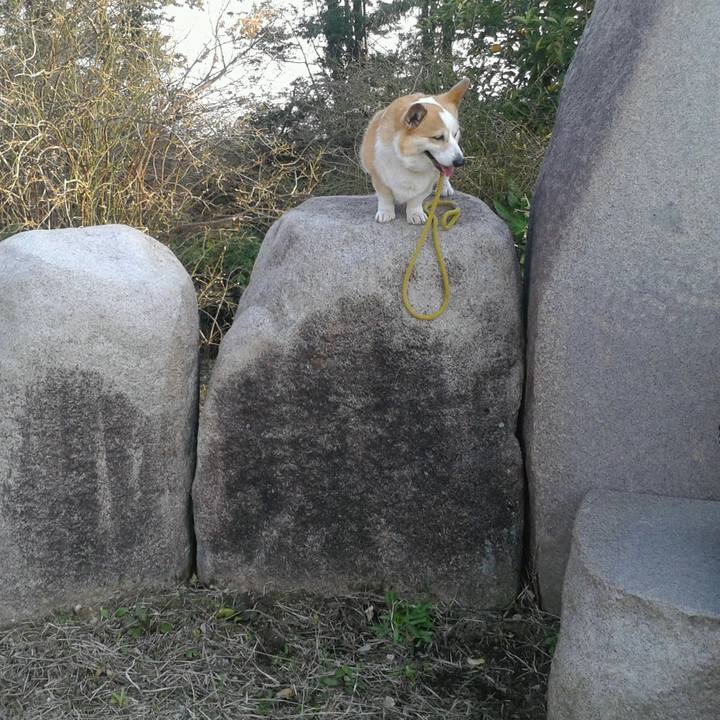 8c9d6158 c455 4cc7 a7b7 7990f9f1fc8a 1632487821620