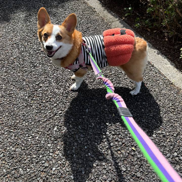 8c9d7302 65cc 4b8f 8040 1cf65c9670f0 1761710819825