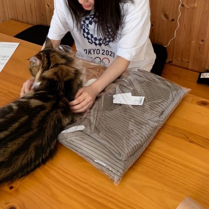 8c9db0be dab3 43f2 a905 90dde2252e79 1650887241553