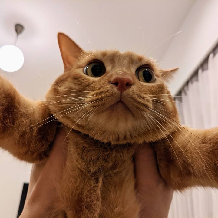 8c9de533 0581 4706 9f64 358d9f7eb7f1 1621227224884