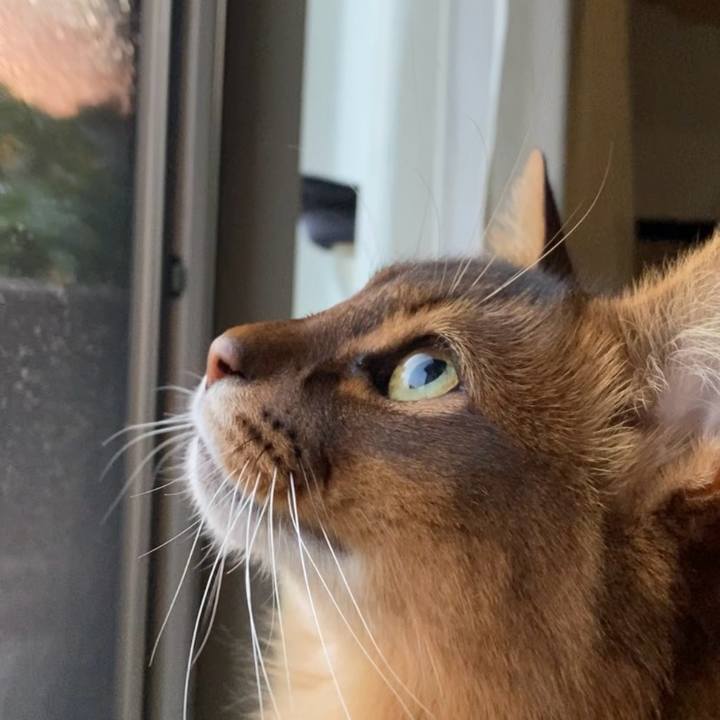 8c9e20c4 10c0 4335 8dc1 d77eaa36447a 1697186497828