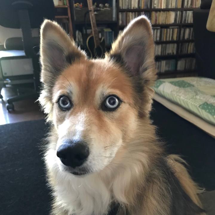 8c9e324f 39b8 4a15 a389 b7085398ae24 1534817940875