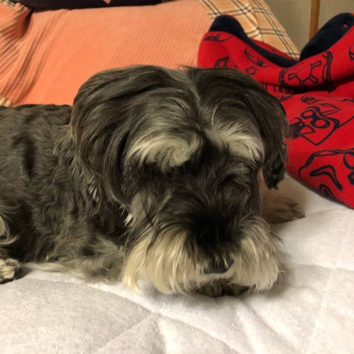 8c9e4b5c ad6f 433a 9d17 db1ba58b8fbc 1665498308290