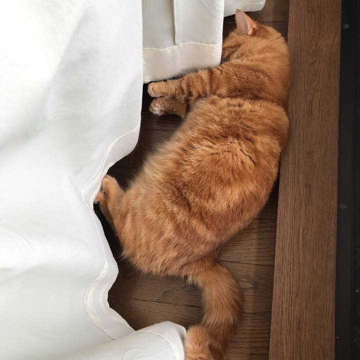 8c9ea5f0 7a68 4e55 b8ca 39b88104e60d 1565496226562