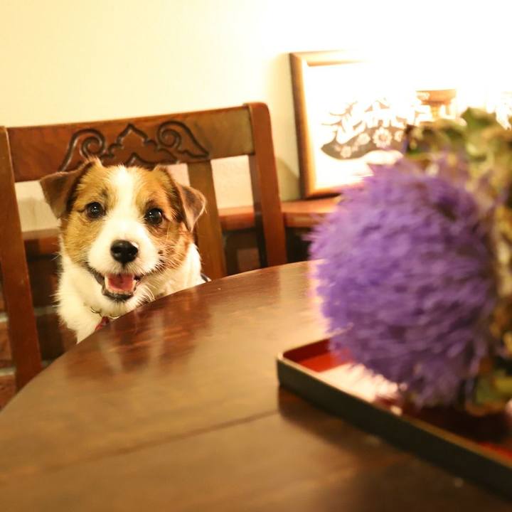 8c9ec8b5 4bbd 47da a0b6 b3c454e60555 1529362724772