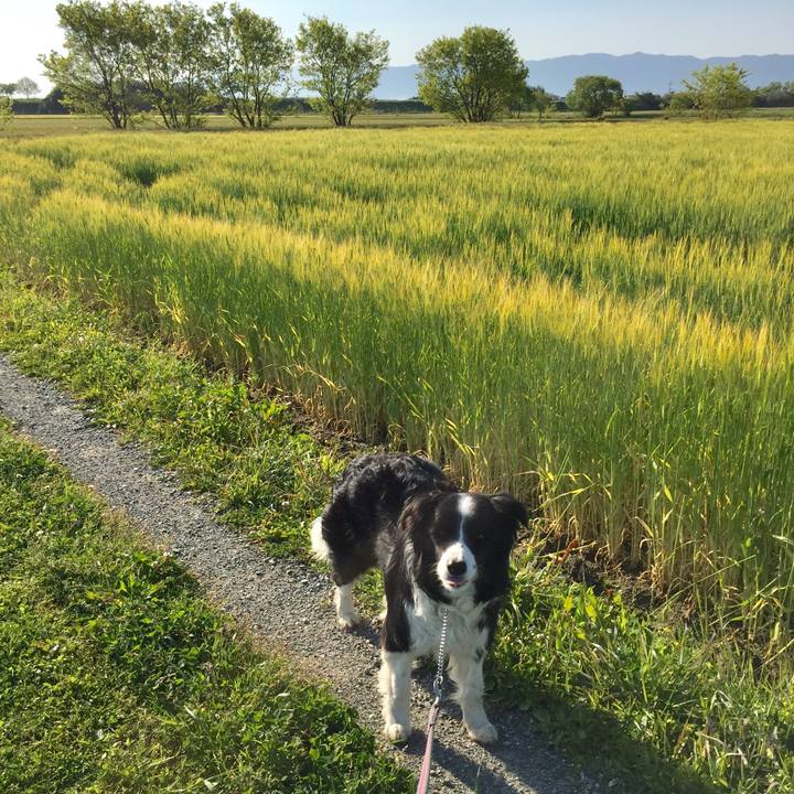 8c9ef7c4 9cf3 4fd5 937d d7074cb1b095 1587770628625