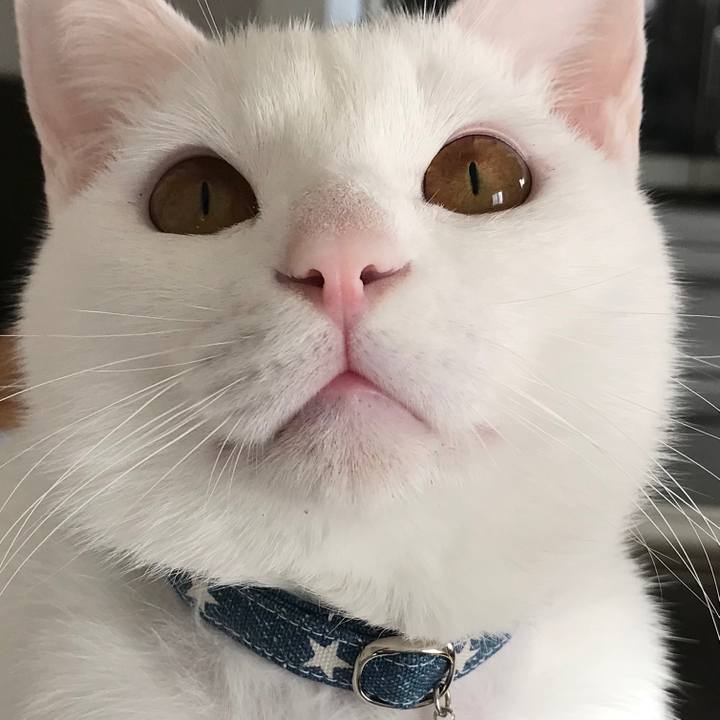 8c9f215f 1779 43c1 89ae 3343e9206602 1581161032631