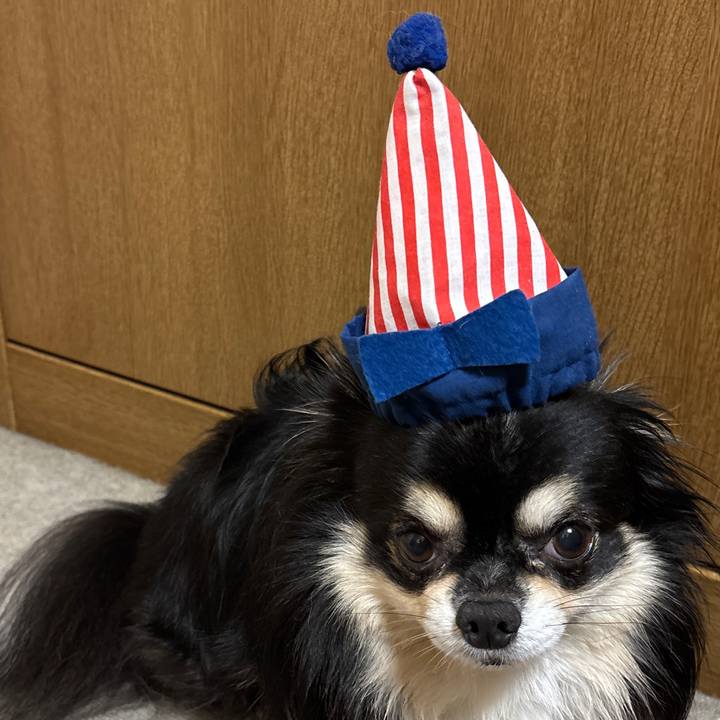 8c9f3940 fdeb 4d77 9077 bbea9a362e51 1763116465577