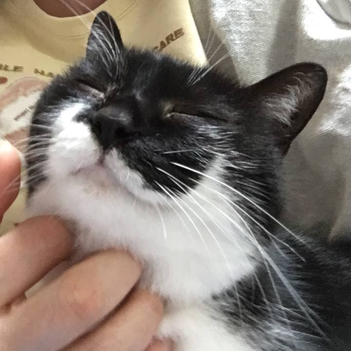 8c9f49f7 2f2d 48f8 87e4 50f07ac4bd85 1556714828583