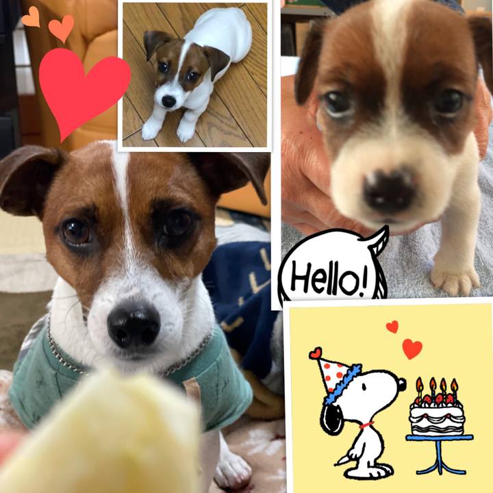 8c9f5026 dce3 404f affe d2e3dc8e419a 1635517366957