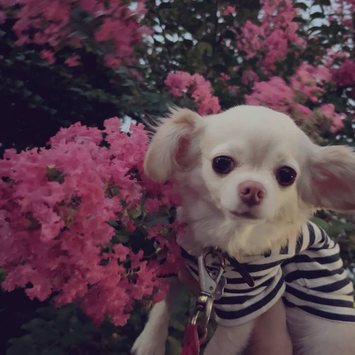 8c9f9daa 6a43 4bd9 84ed dbbec0c74c52 1695378504505