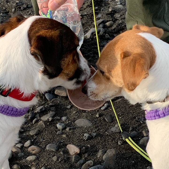 8c9fdc8f 58bf 455c 9370 581c4038bfc7 1576375790725