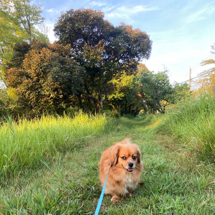 8c9fe8a4 5266 496d ba09 3e9efacf1a0a 1598824516404