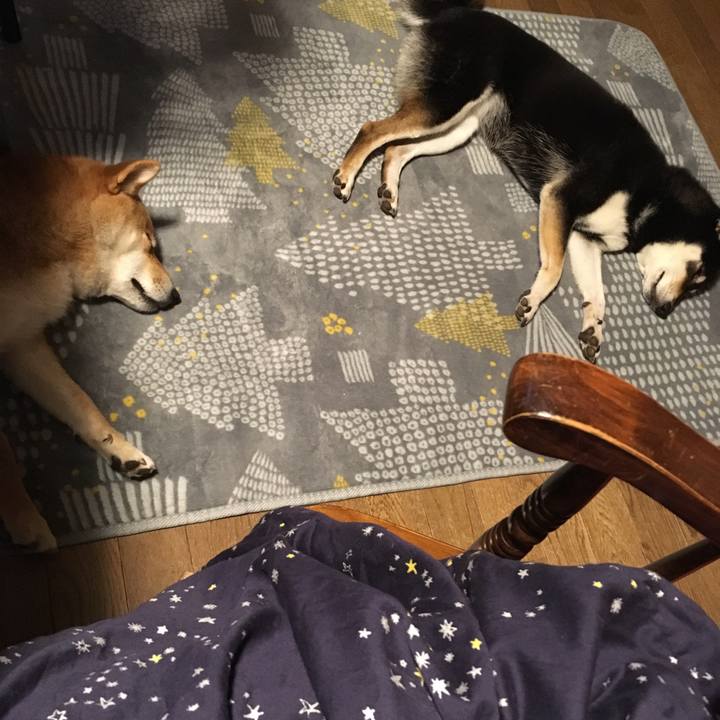 8ca031ec e535 4733 b91b 1b98cc2ead53 1537700706134