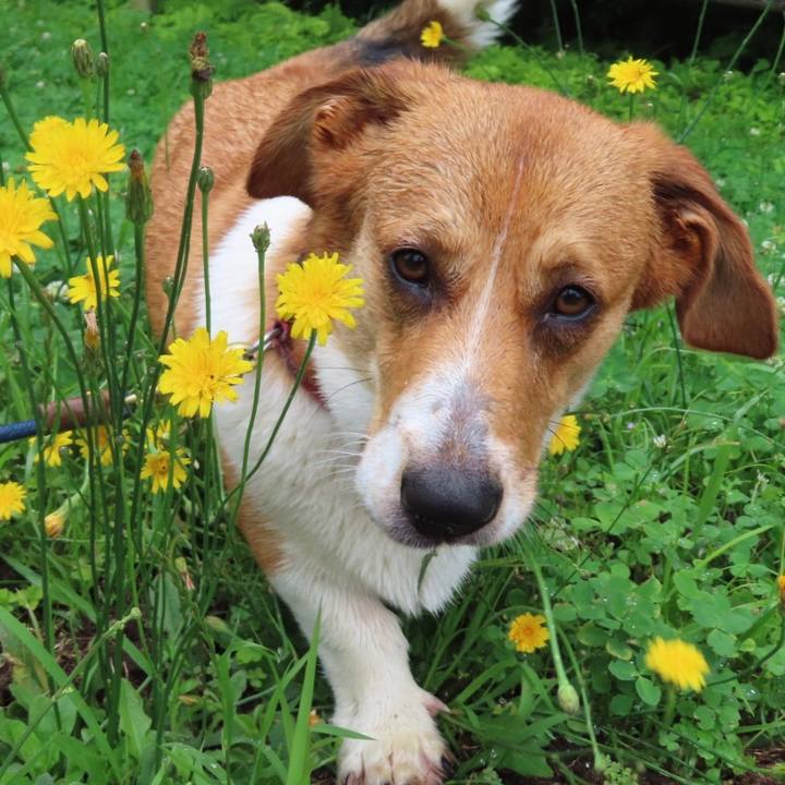 8ca053de 3ab8 4d55 b231 076c919cbe99 1623032021582