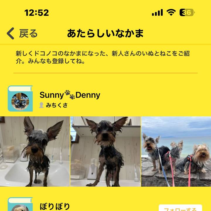 8ca06693 81ab 4d9e 96ab 2917f4f28189 1721534089579