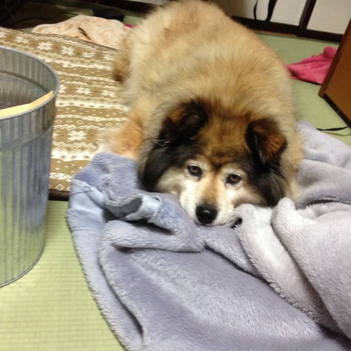 8ca0841c 197c 4007 b296 f92d01e924f9 1646087564192