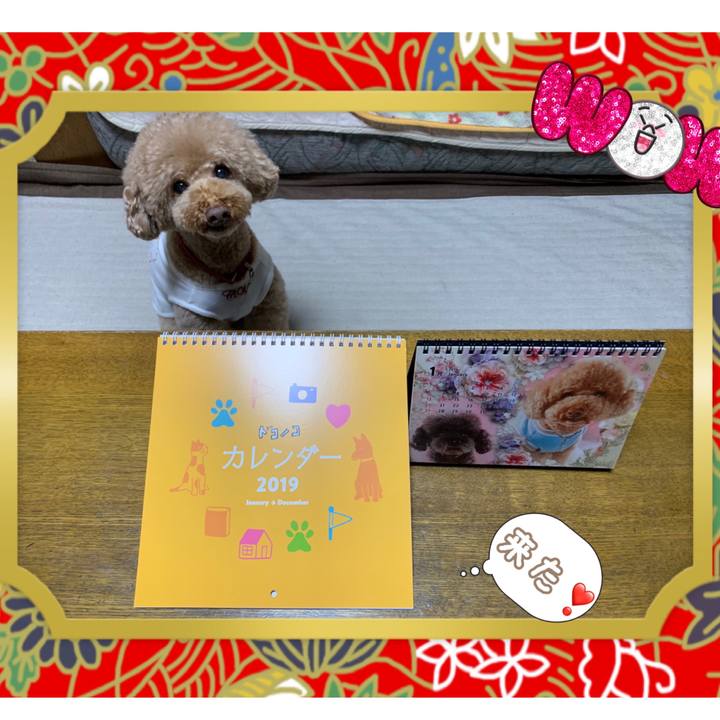 8ca0acbf 90fa 447d aa2b 2bff8c263c17 1546072427621