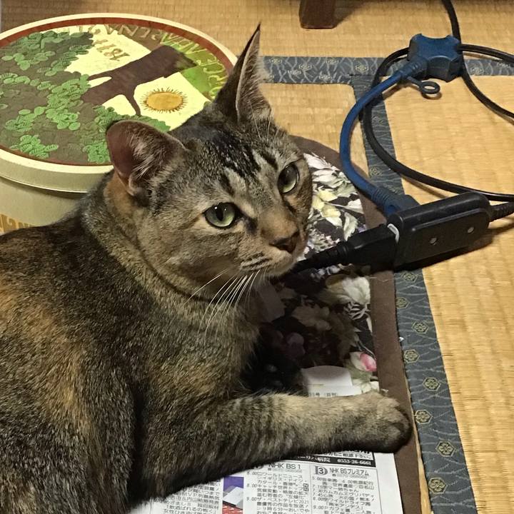 8ca0c8e4 664c 4b1c 9df4 aa4e1efdec99 1637546529290