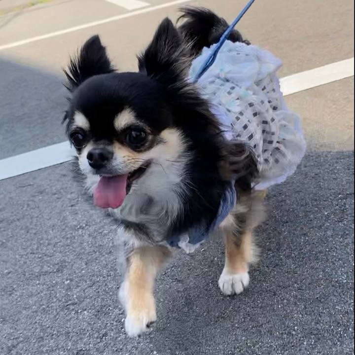 8ca10121 50fd 4e4d a24b f24f17786464 1652834275677