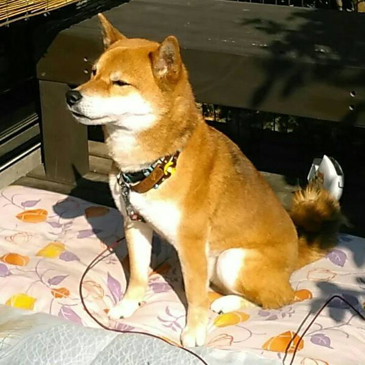 8ca139f3 885e 4e72 aa6c 48882c67701d 1552628355329