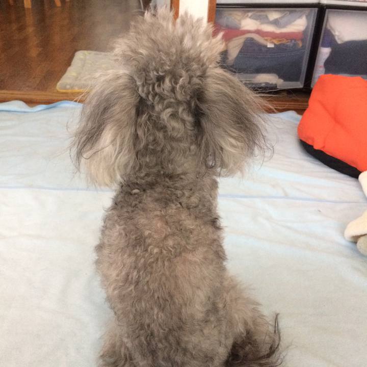 8ca13b8c 0312 4418 9f2b 71ffdfb26e50 1519081200862