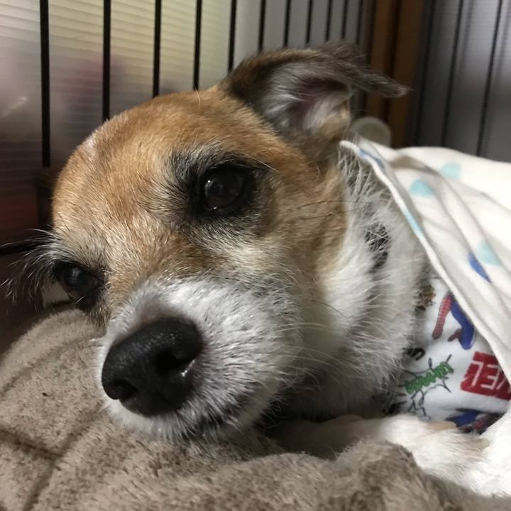 8ca14470 1bdd 4da3 9ca2 f22fec59325b 1569505579339