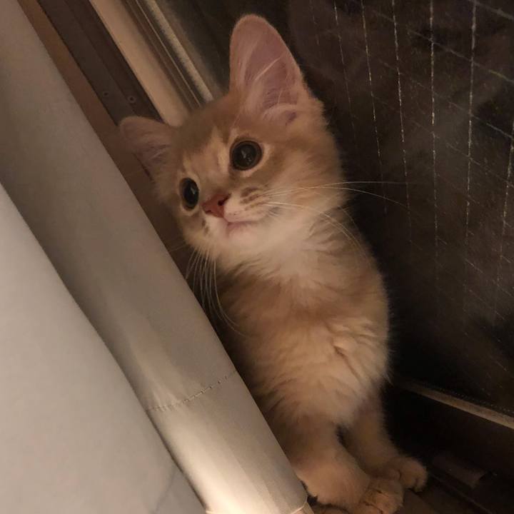 8ca149d8 97e8 435f aa09 3f56d5589dba 1540522078189