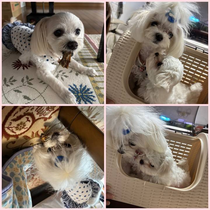 8ca16d0e 5635 4447 a779 90317b76b54d 1749981266680