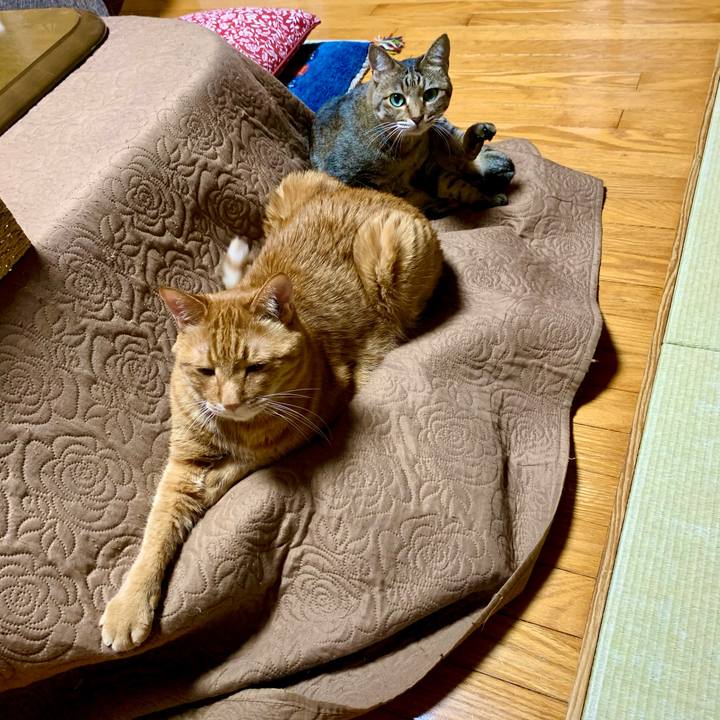 8ca18d54 0b38 46c9 90cb 015d01a2ed5b 1618832728047