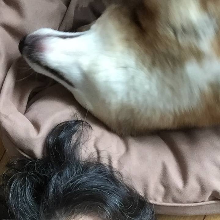 8ca19273 9081 44b3 8a85 c001f4bd0b37 1565072133775