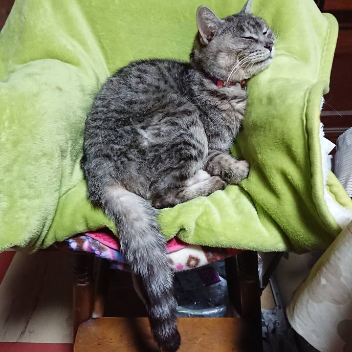 8ca1947b 2c68 43c9 9abd f4fd753837a9 1582976026120