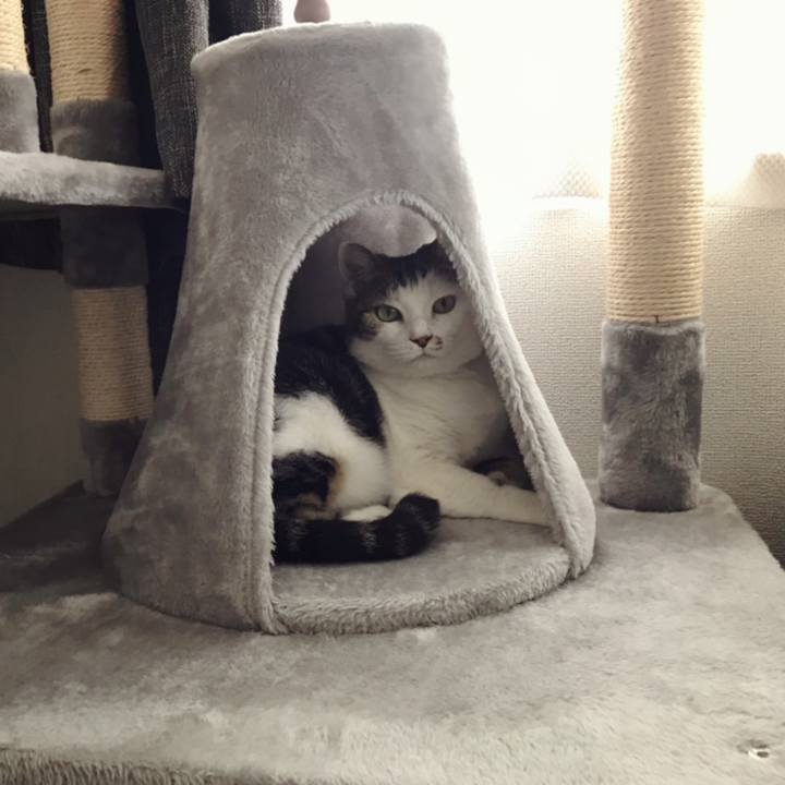 8ca19e1a 674b 4edc b293 1c9d5c4087cc 1591498855752