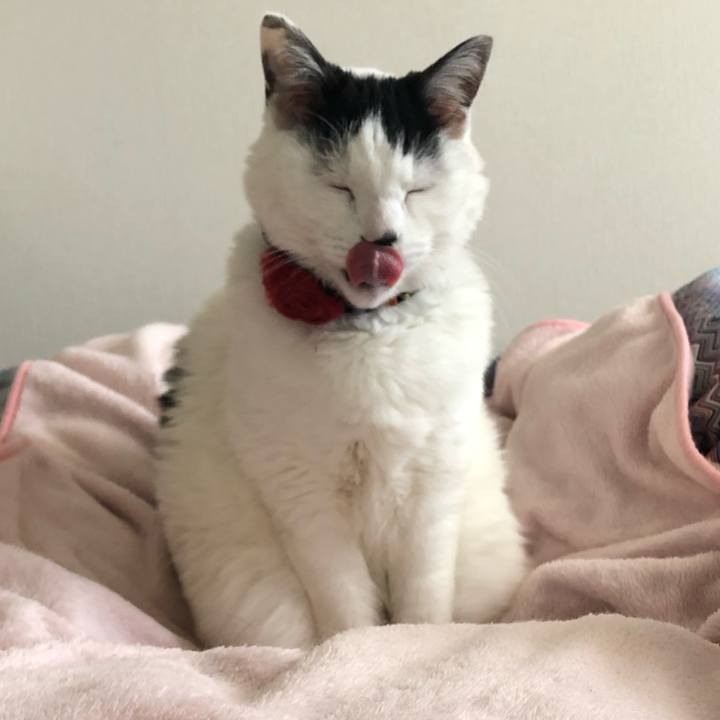 8ca1b649 4657 486e a410 59efe29a8a84 1554335332688