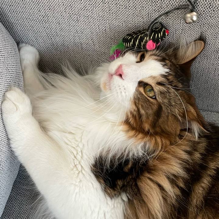 8ca1bc19 51fc 44ec aa12 268c52e87f4c 1649455658634