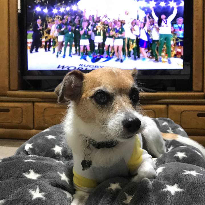 8ca1d37e 97c9 412c be36 88e8b90bcd4c 1572694491701