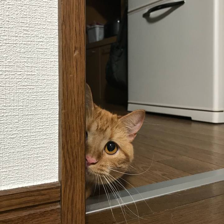 8ca263b6 c843 419f 8c3b 50438475d069 1534985772128