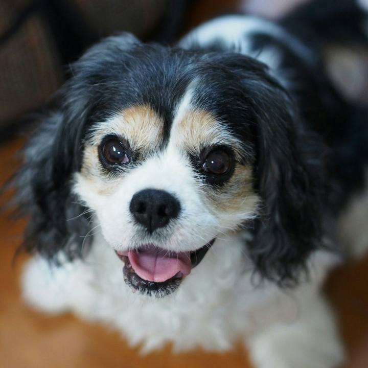 8ca29cd1 dad2 4b92 8fd0 e9a234a479ad 1508678471069