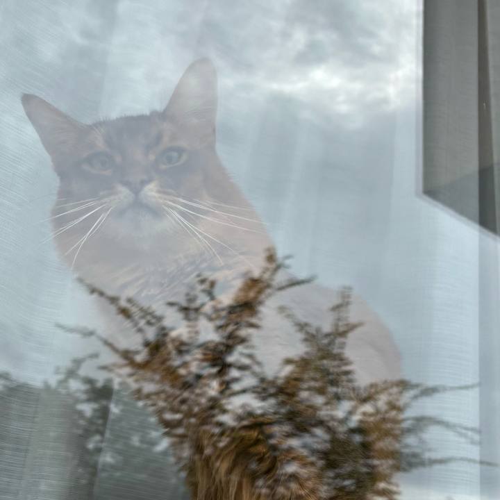 8ca2a613 8856 4af7 81e0 84d8c7bd7811 1758769393610