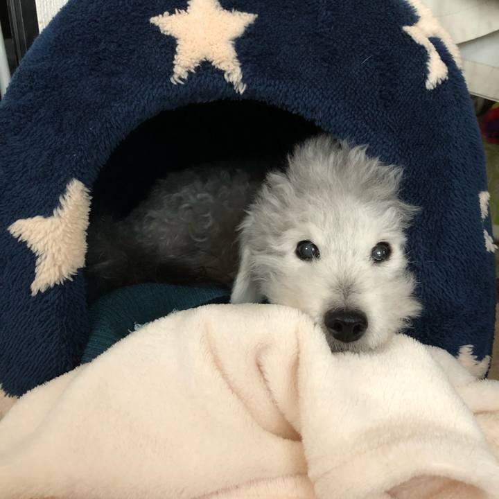 8ca2bcfc 1ffc 4a8a a86d 0d13749d07d6 1586056351111